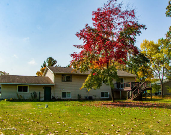 A picture of our Taylor's Falls backyard in Fall