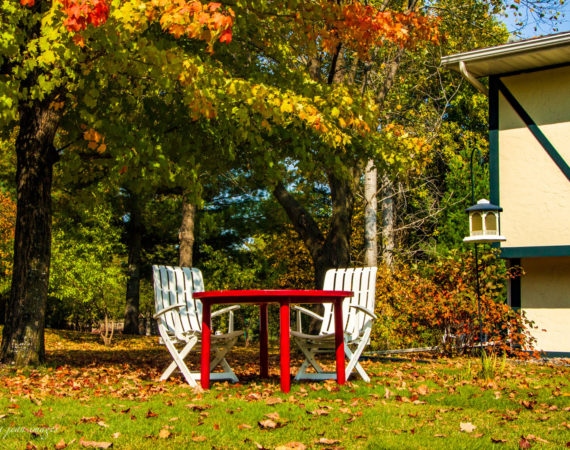 Backyard at Taylors Falls residence